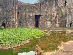 -海南热带野生动植物园