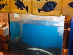 活鳗鱼-文立新麻辣烫(合生汇21街区店)