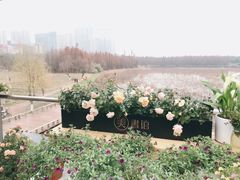 -艾溪湖湿地公园