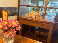 -春树下·树屋花房西餐厅(罍街AS1980店)