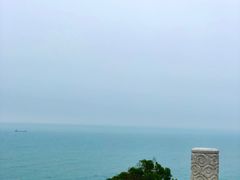-广东惠东海龟国家级自然保护区