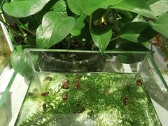 -北京利生体育商厦