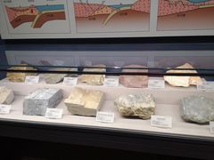 -湖南省地质博物馆