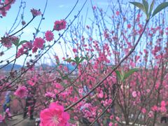-水濂山乐民游艺园