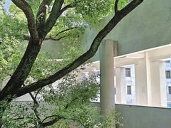 -湖北美术学院(昙华林校区)