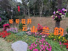 -桃花涧