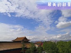 -金城公园