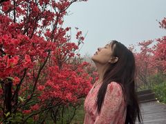 -大围山国家森林公园