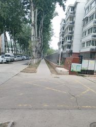 -润复丝·泽发防脱头皮管理