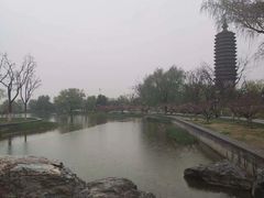 -西海子公园