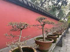 -成都武侯祠博物馆