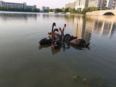 -江南大学(蠡湖校区)