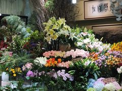 -溪岸路花鸟市场