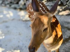 -西部长青自然儿童乐园