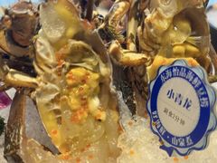 -东海怡品海鲜豆捞(舟宿夜江店)