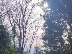 -黄山翡翠谷景区