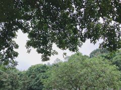 -清水湖度假村(罗浮山美食地标店)