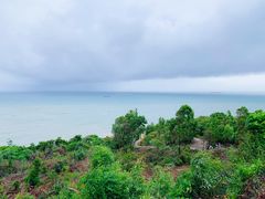 -广东惠东海龟国家级自然保护区