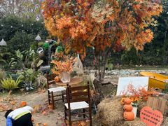 -HERRE·FARM 赫尔露营农场·团建聚会包场