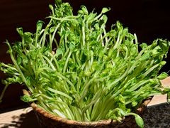 -三出山火锅(万象天地店)