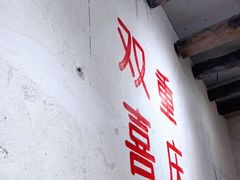 -四小区火锅·巷子里的重庆火锅(花照壁店)