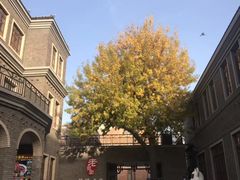 -天津五大道文化旅游区