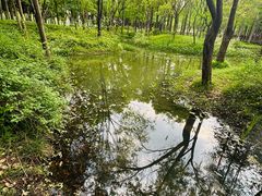 -尚贤河湿地