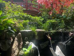 -观澜山水田园