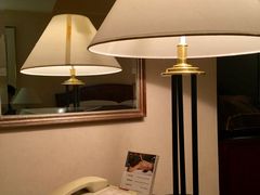 -成都天府丽都喜来登饭店