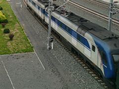 -金刚山烧烤(红旗大街店)