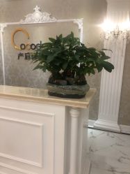 -Cocodemer产后恢复(杭大店)
