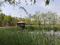 -永定河休闲森林公园