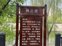 -桃花堤公园