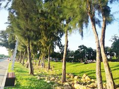 -宝安西湾红树林湿地公园