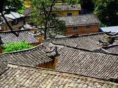 -杨家堂村