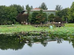 点击看大图 -北京新世纪妇幼医院·产检·分娩·计生(望京院区)
