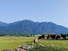 -罗坑大草原
