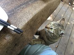 -JUKEBOX玖部音乐餐厅(华侨城店)