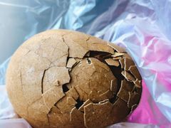 -金盆阿嬷香菇茶叶蛋(玄光店)