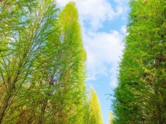 -捞渔河湿地公园