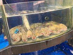-果蔬好生活超市(东湖店)