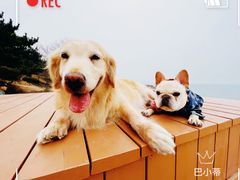 -青岛第三海水浴场