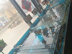 -渡海小渔村.老辈日照菜
