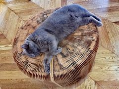 -Me Coffee下午茶艺术空间