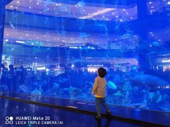 -成都浩海立方海洋公园