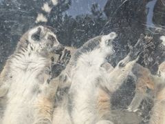 -秦皇岛野生动物园