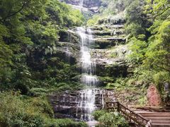 -碧峰峡风景区