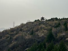 -白水寺森林公园