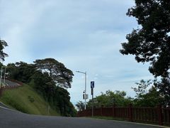 -黄埔油麻山森林公园