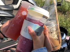 -雾与山茶(大禹城店)